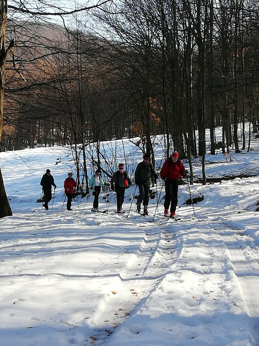 Gál-rétről a Csóványosra