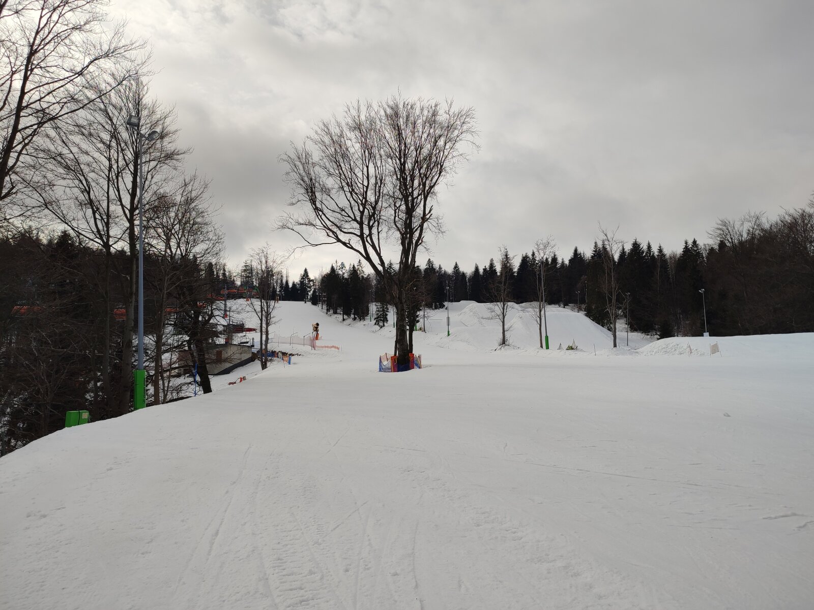 IMG-20230220-103424.jpg