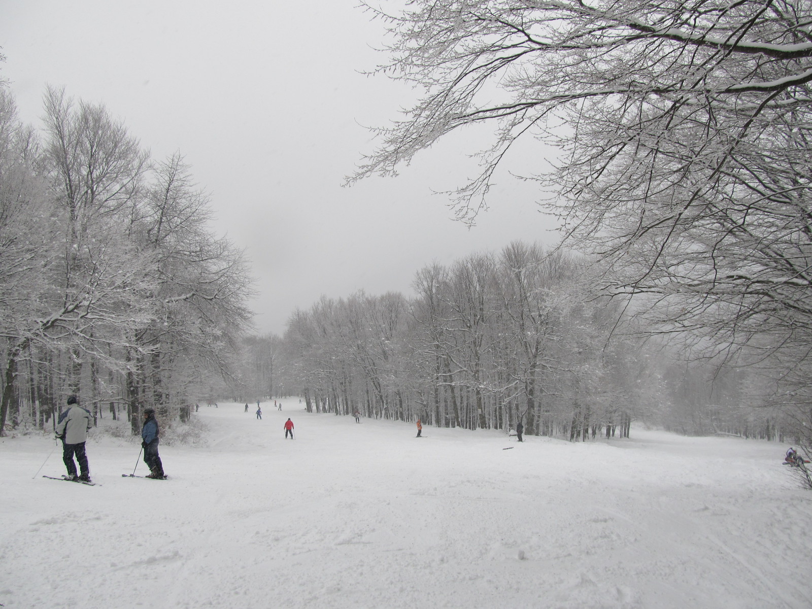 Elágazás: balra az 1-es, jobbra a 2-es