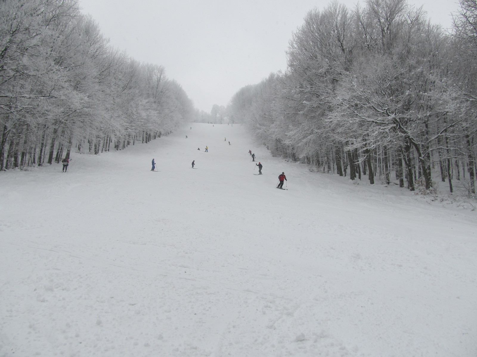 1-es pálya középről
