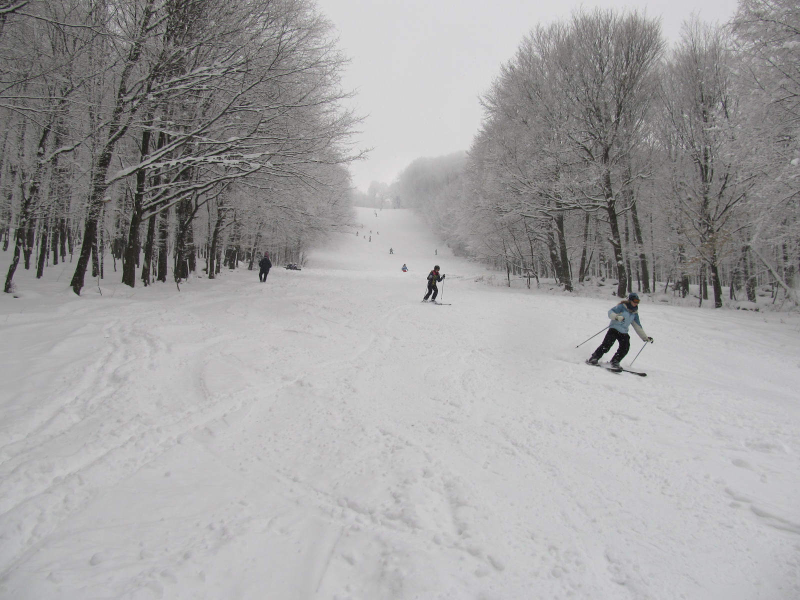 2-es pálya alsó fele