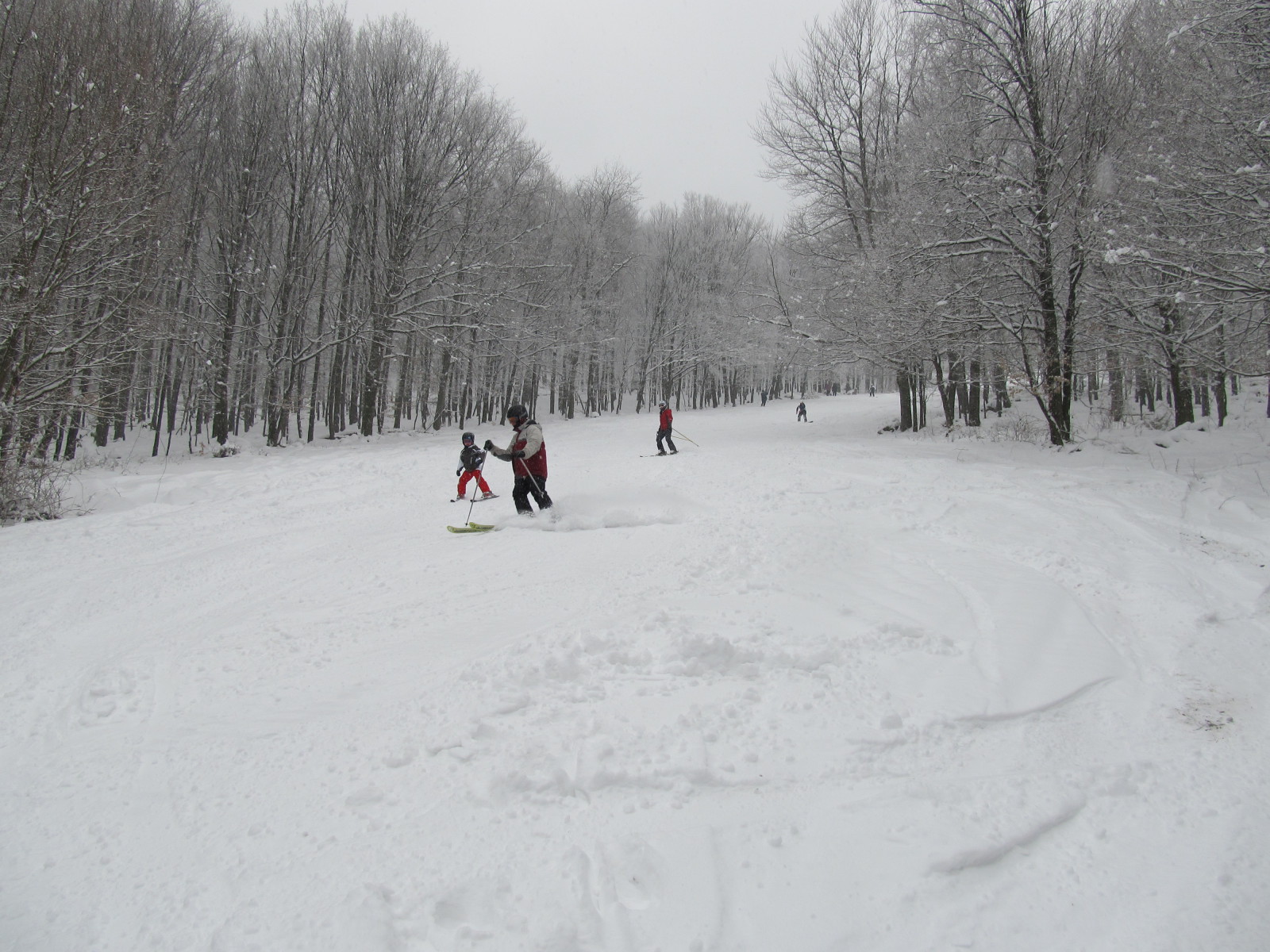 2-es pálya alsó fele