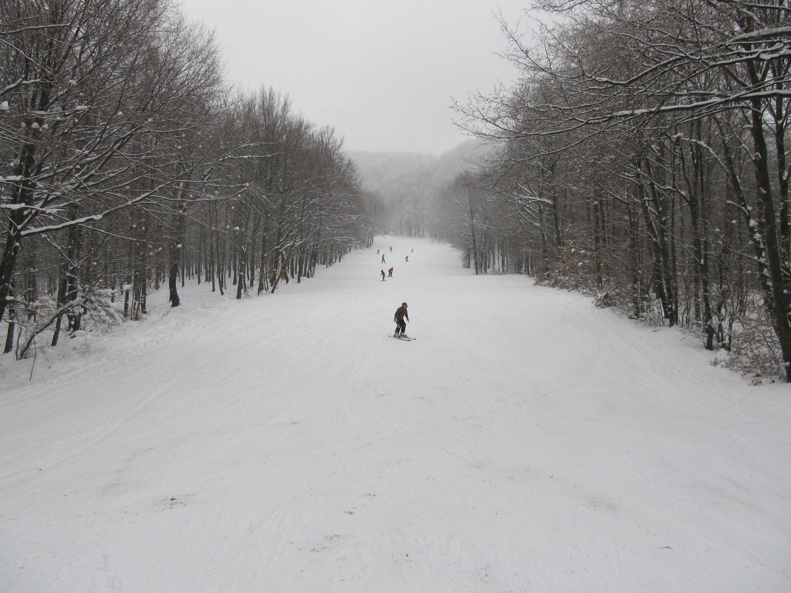 1-es pálya alsó fele