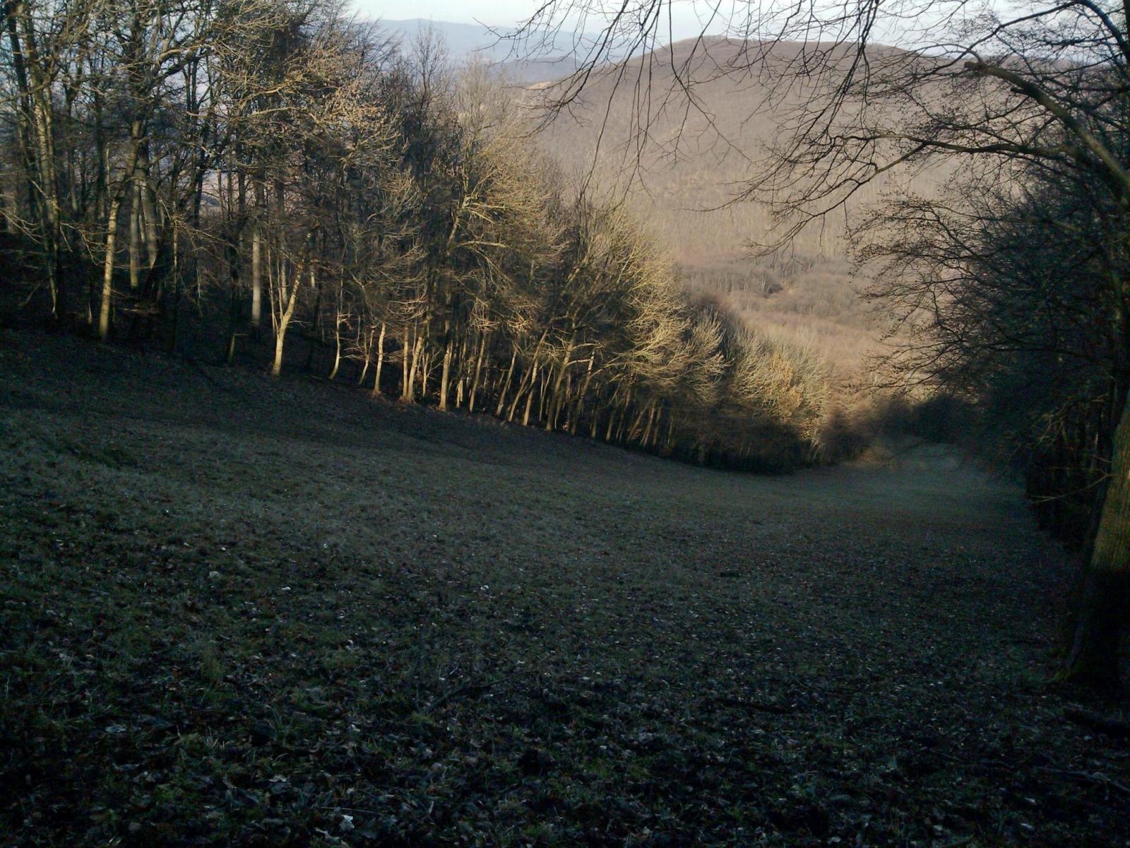 2014 február 27. aszokásos idei  látvány