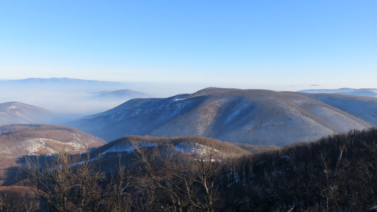 IMG-1556.JPG