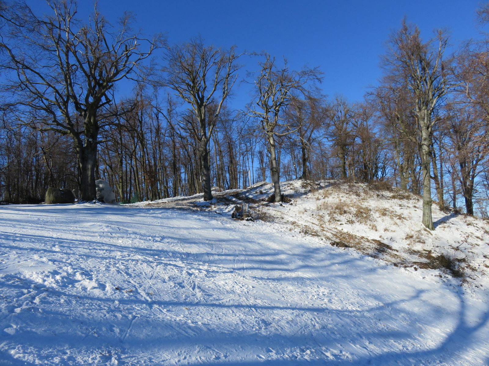 IMG-1582.JPG