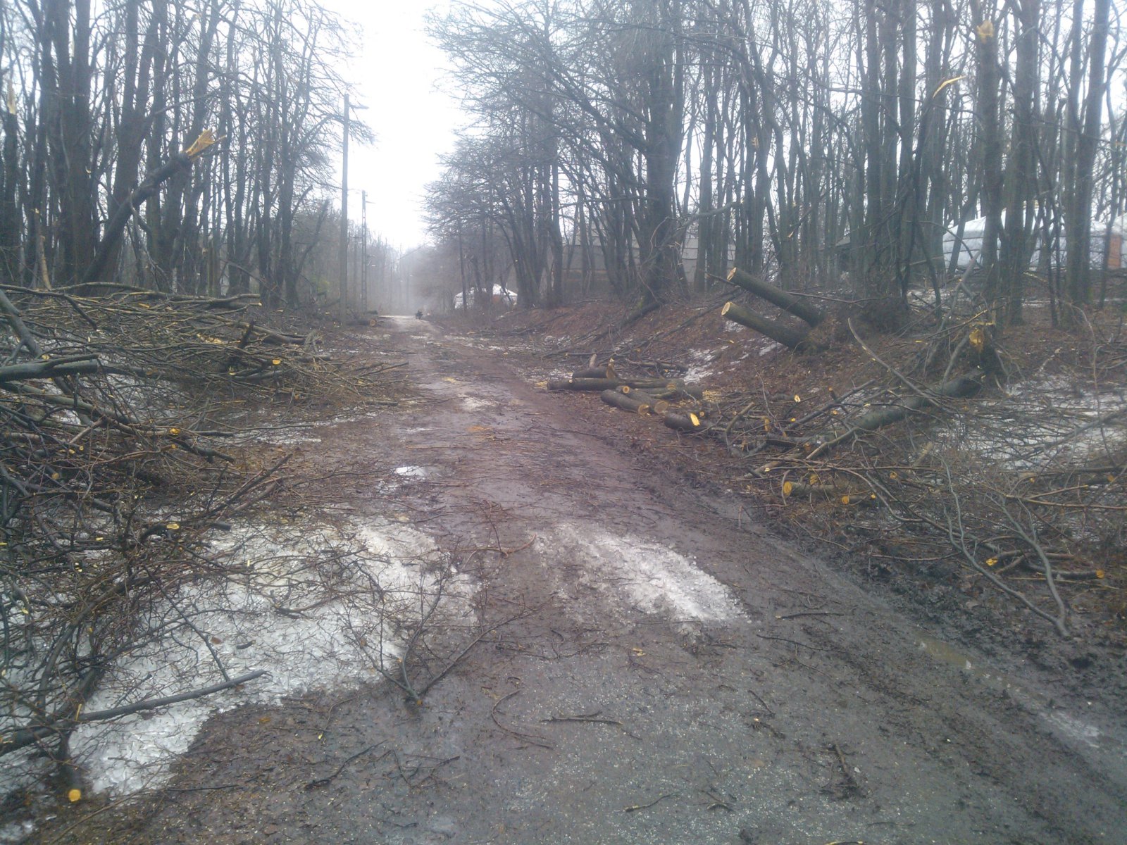 Eötvös Lóránt út a sípálya mellett...