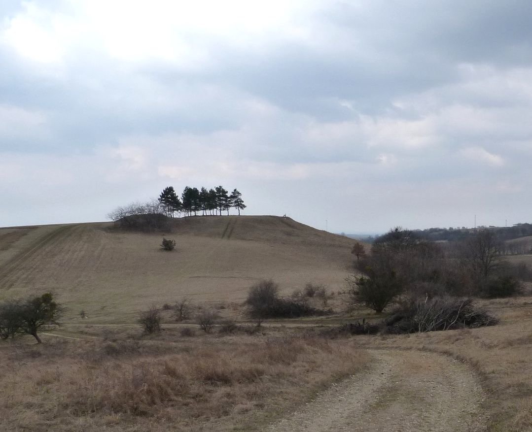 talán erre lehetett csúszni?