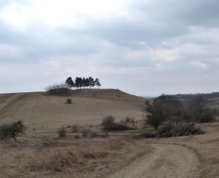 talán erre lehetett csúszni?
