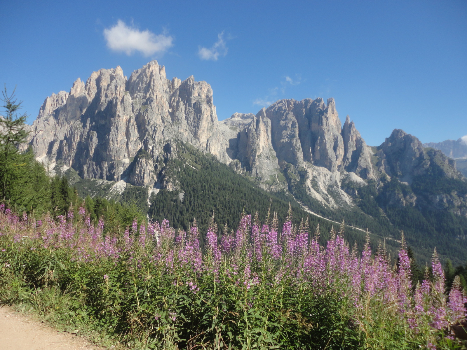 A Rosengarten csoport.