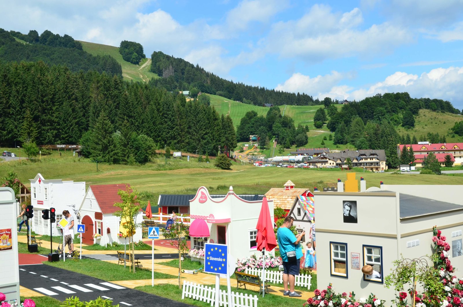 DSC-3779.jpg