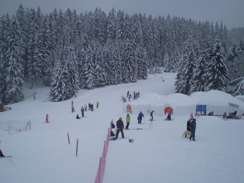 Doval-2011.-advent-067.jpg