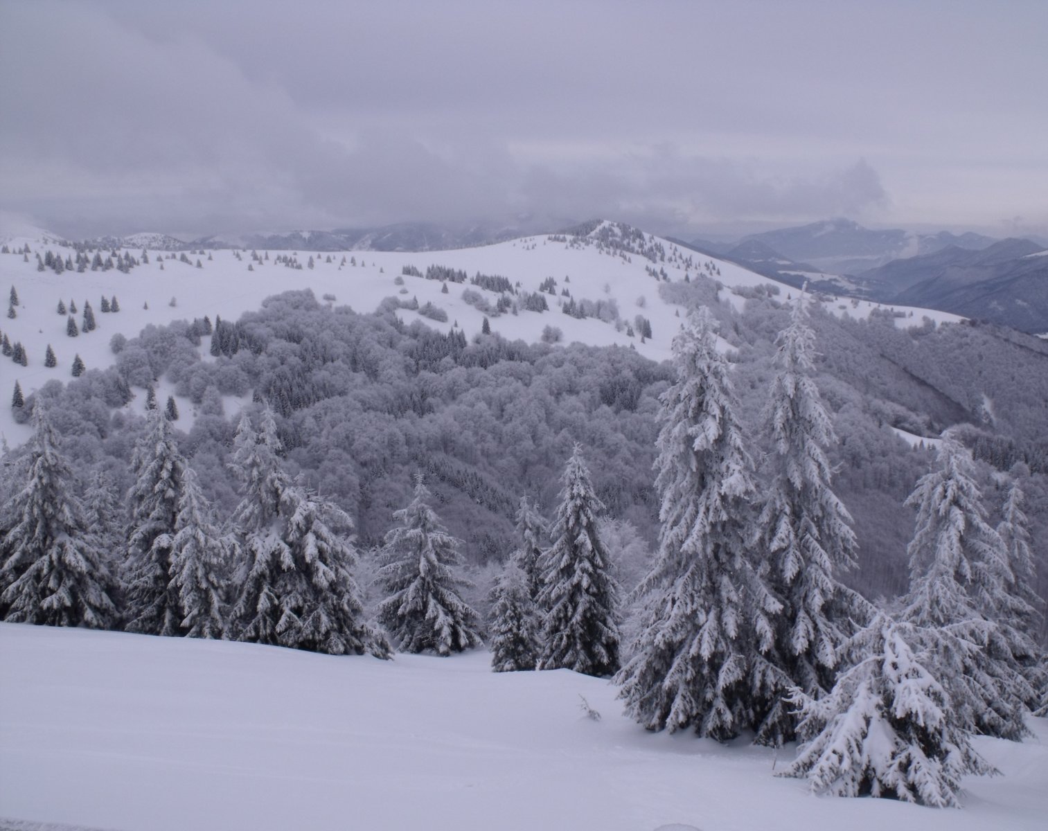 Látkép Nová holá-ról