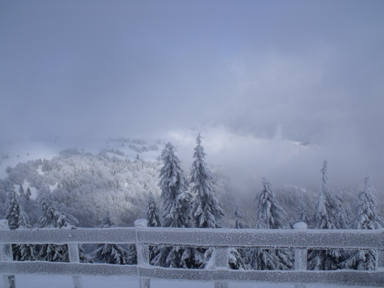 Nová holá: Korlátok között..