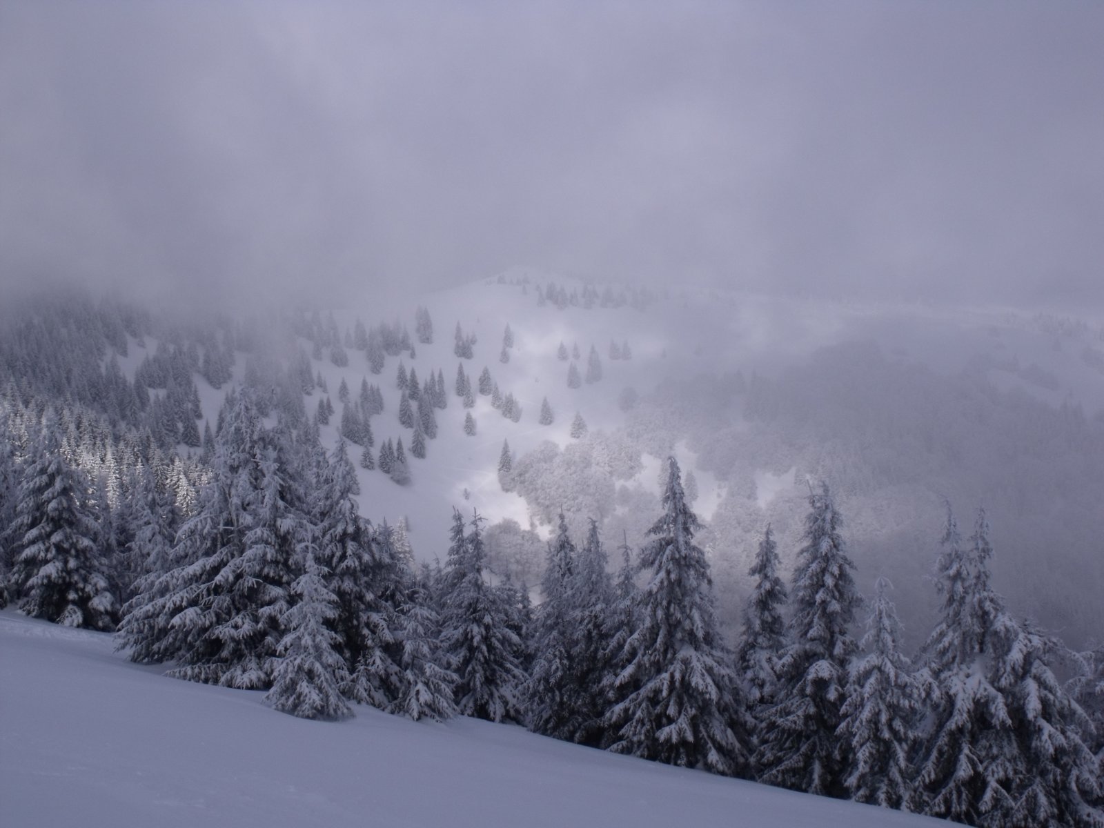 Közkedvelt látkép: Nová holá-n