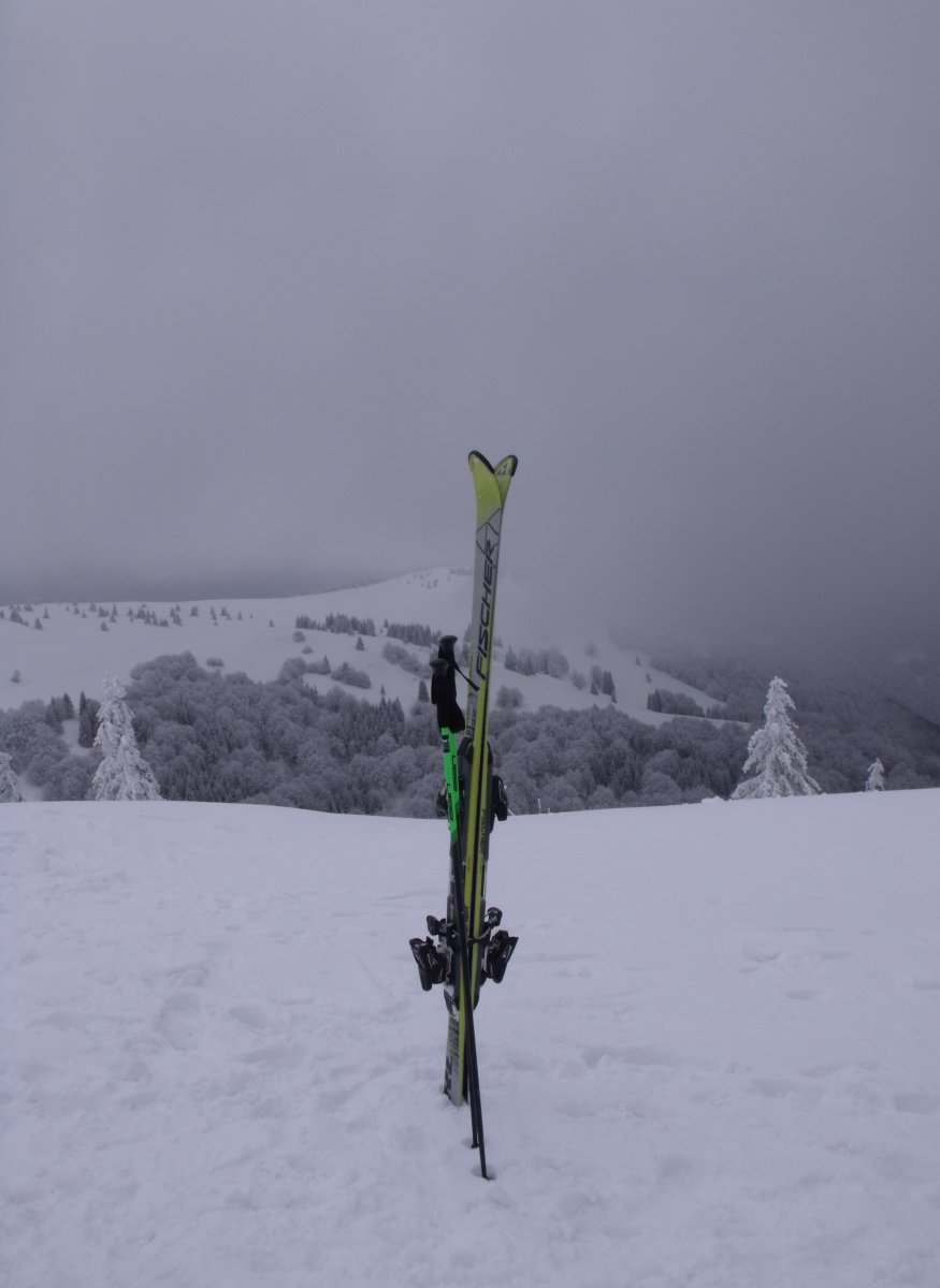 Kedvem támadt lelécelni