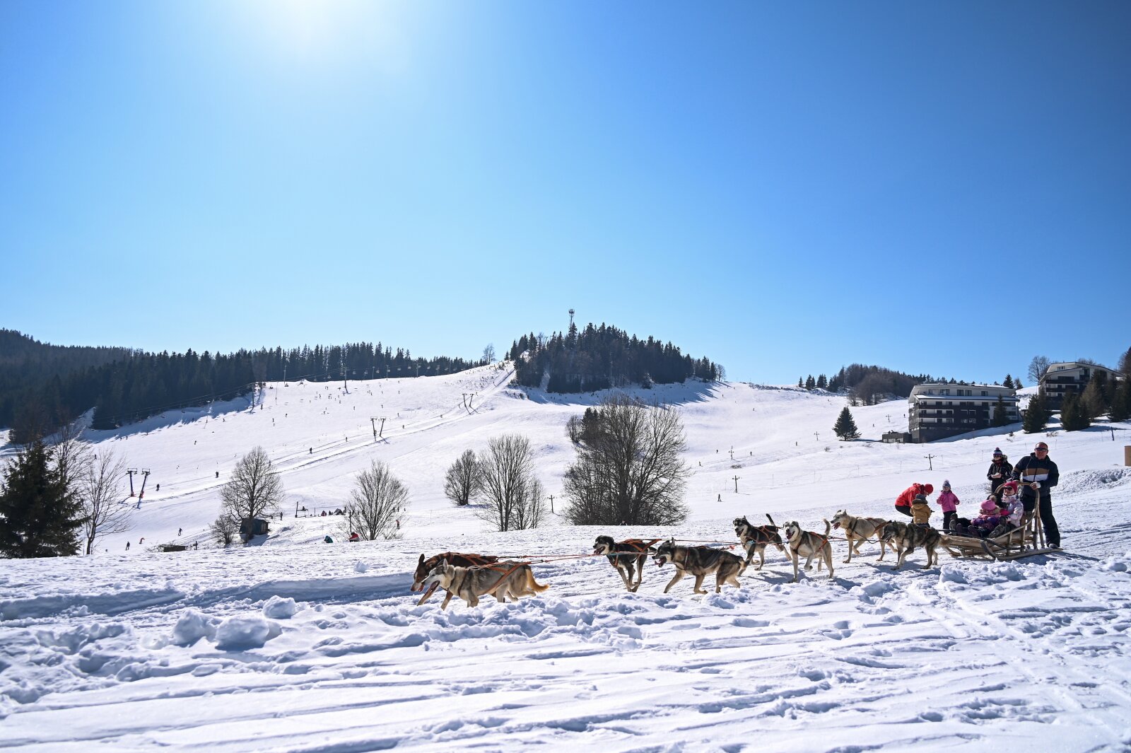 Kutyaszán fogat - Donovalyn ezt is ki lehet próbálni 