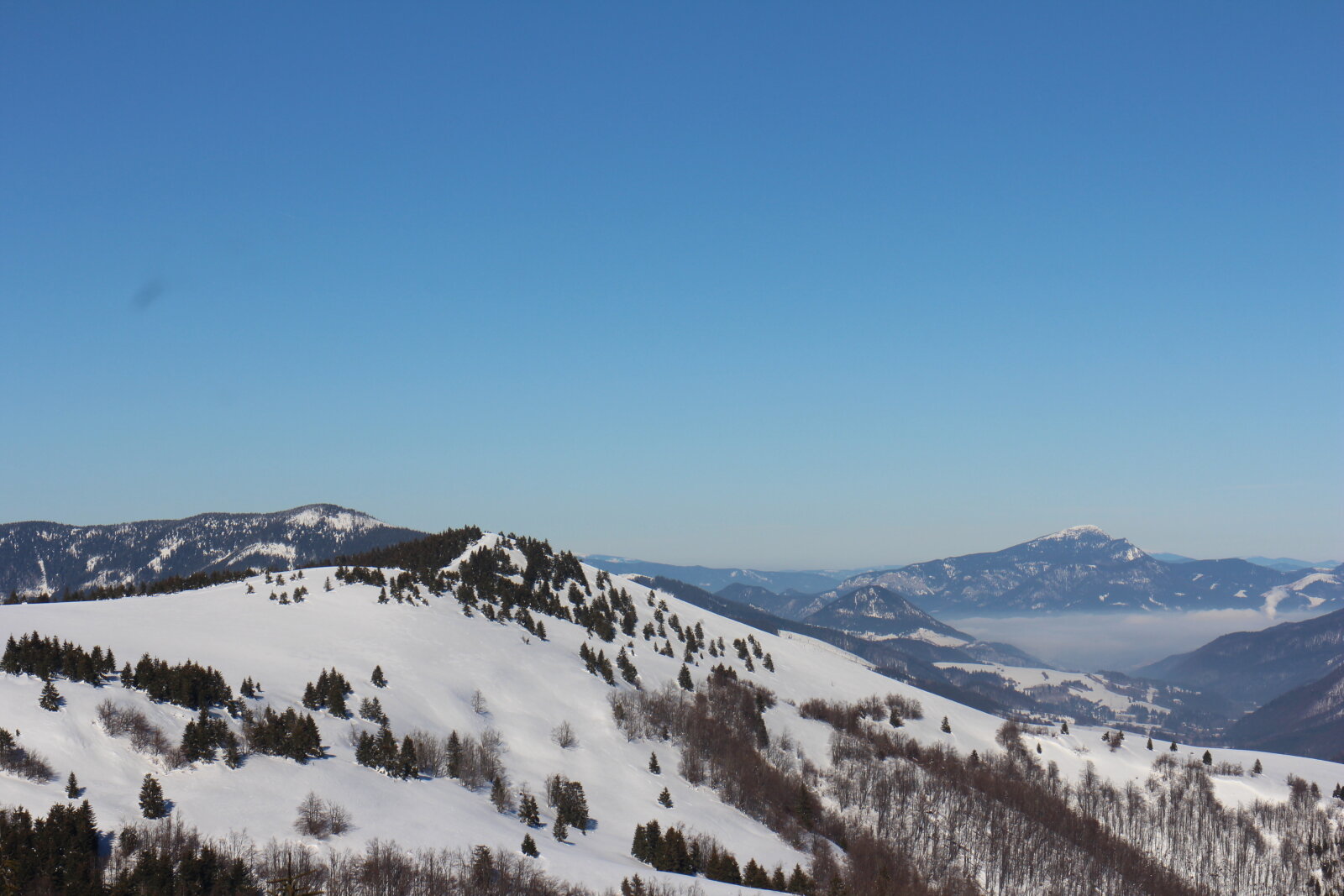 IMG-2782.JPG