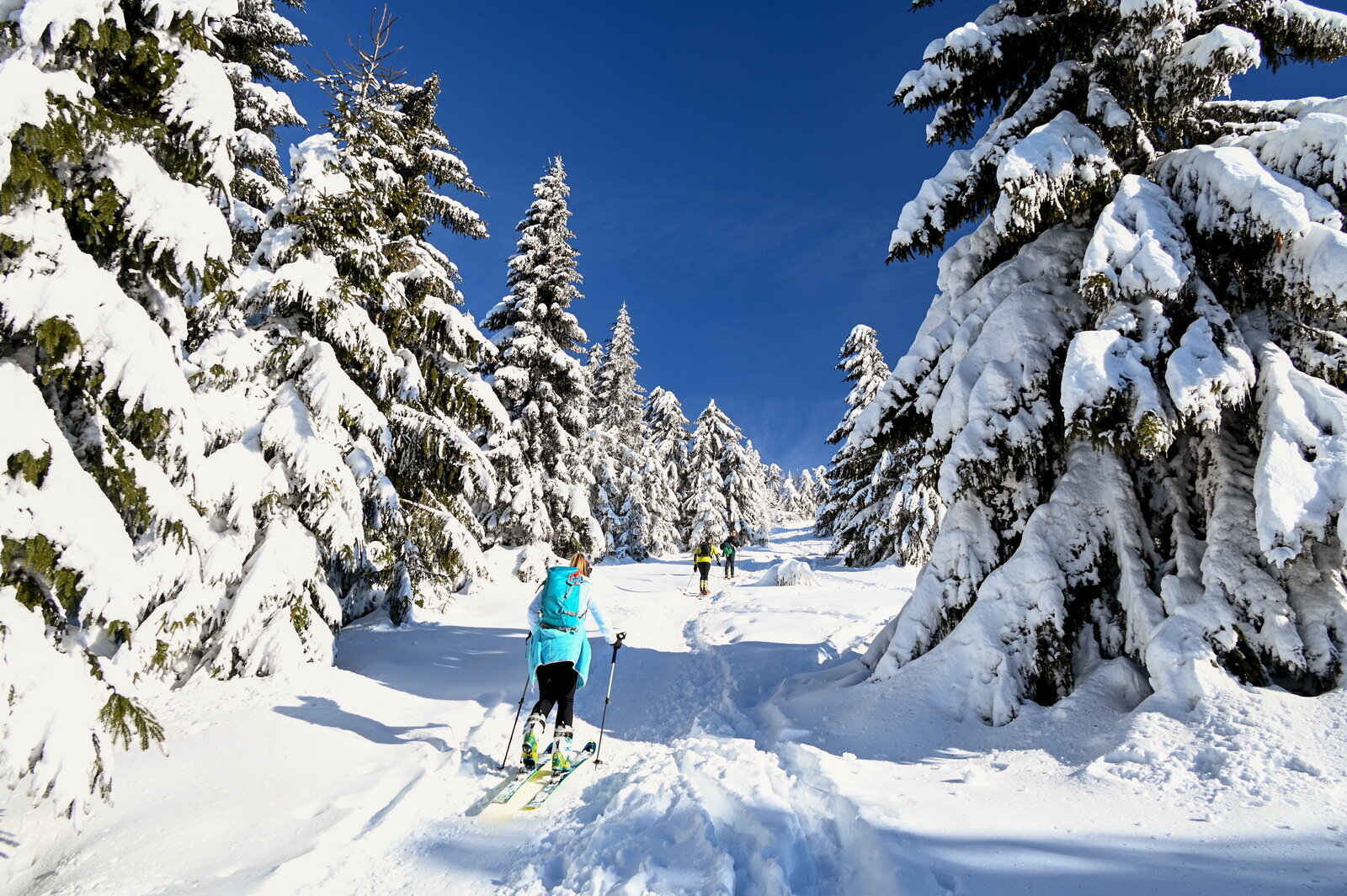 Túrasízés friss havon | Kép: Roman Milan