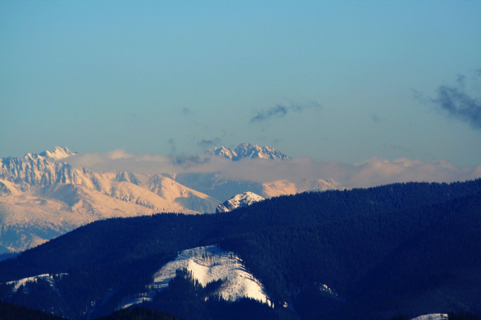 IMG-6291.JPG