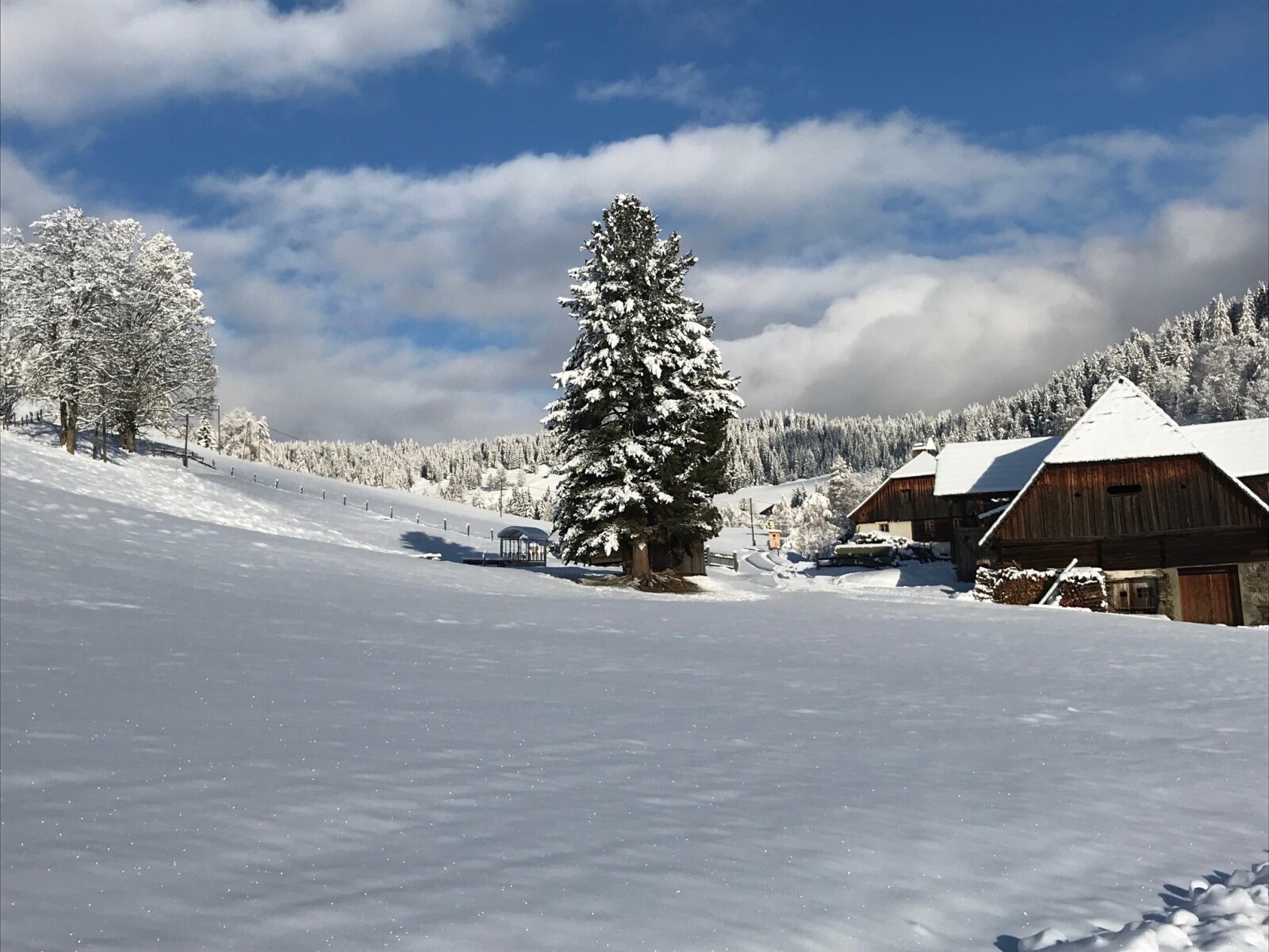 Allgau-Winter.jpg