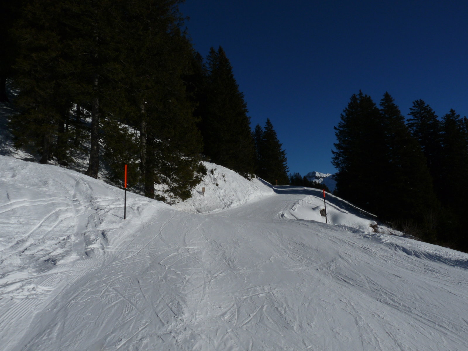 P1360641.JPG