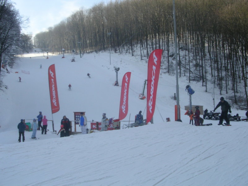 2011.-jan.-044.jpg