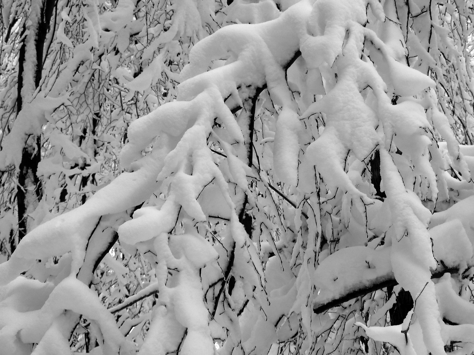 Csak meg ne szakadjunk...