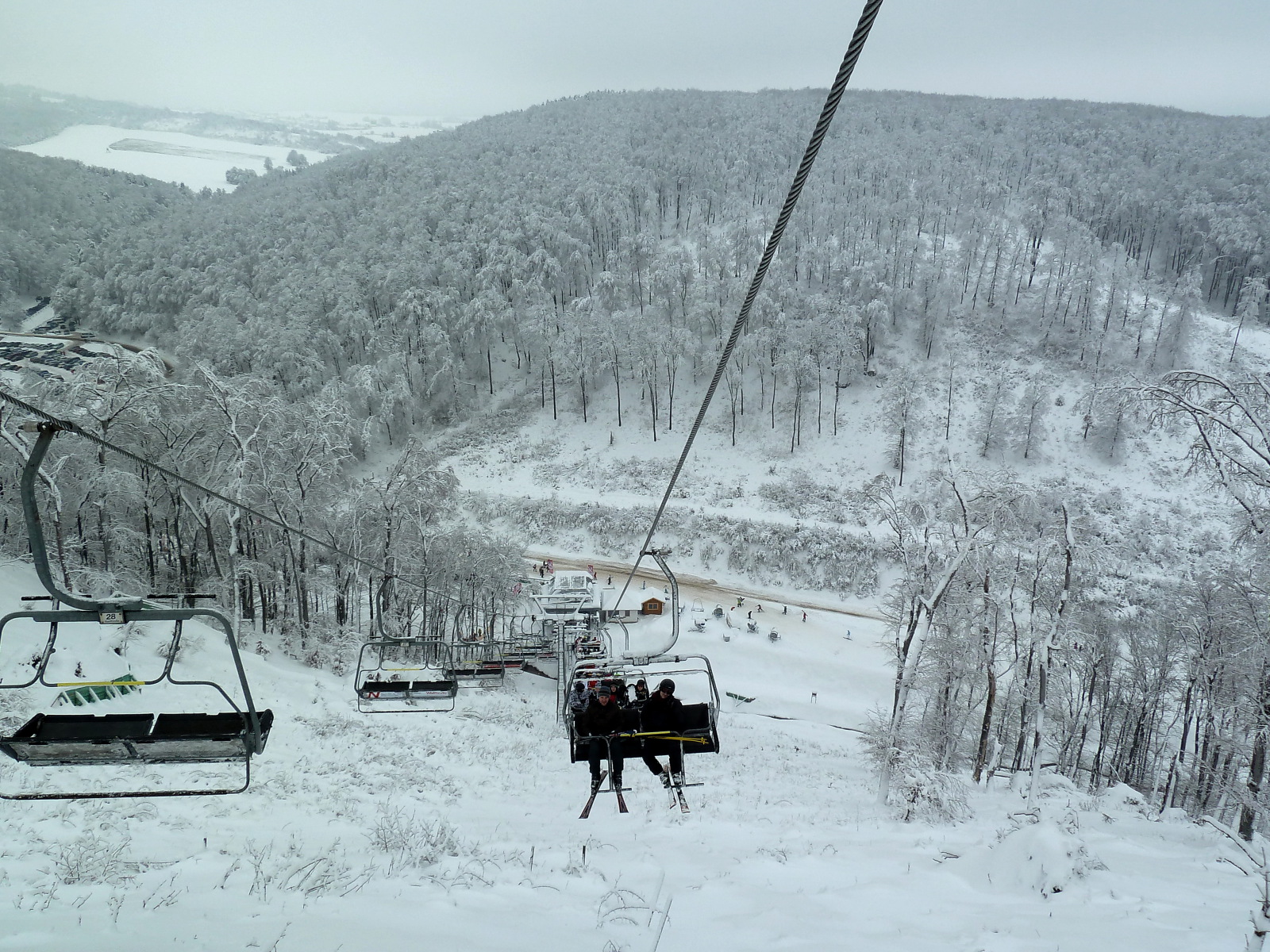 Repül a Szent Sólyom.