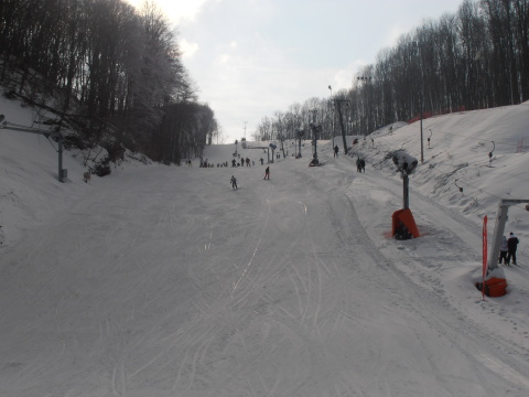 P2111845.JPG