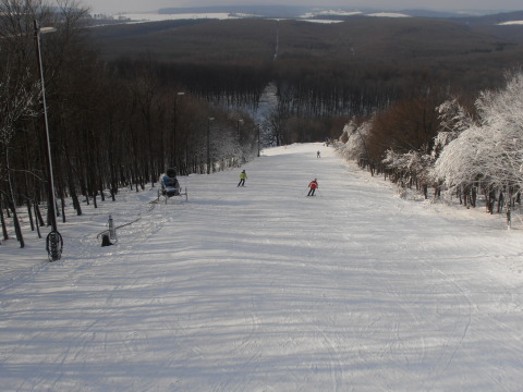 P2111849.JPG