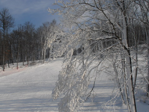 P2111850.JPG