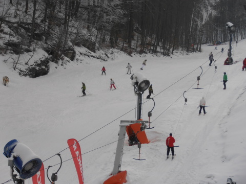 P2111855.JPG