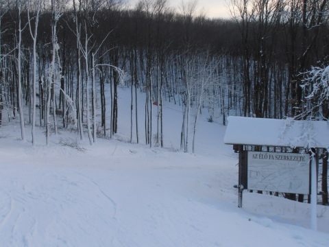 P2111863.JPG