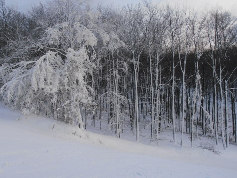 P2111864.JPG