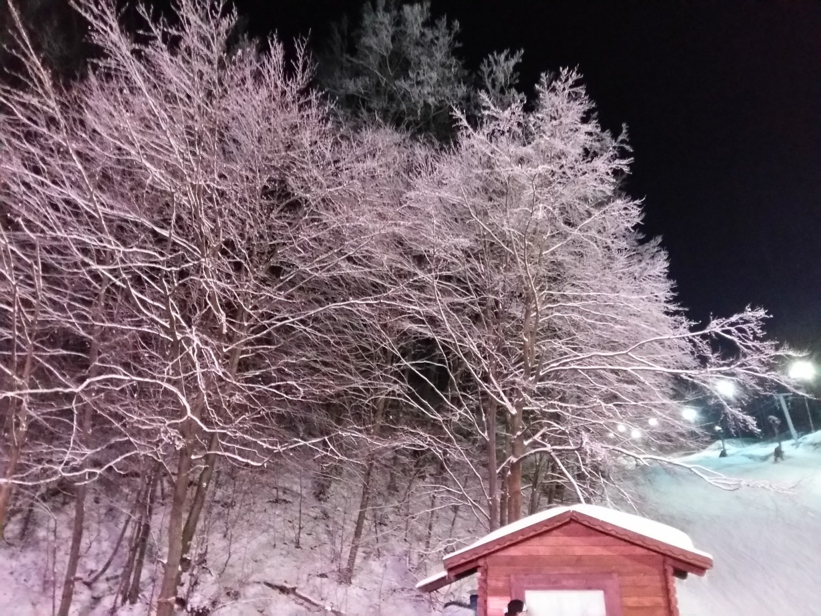 20161213-174144-LLS.jpg