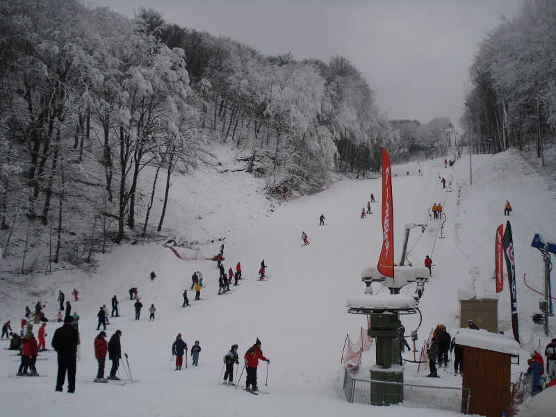 DSC08804.jpg