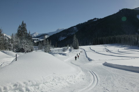 Langlauf-Eisenerzer-Ramsau.jpg