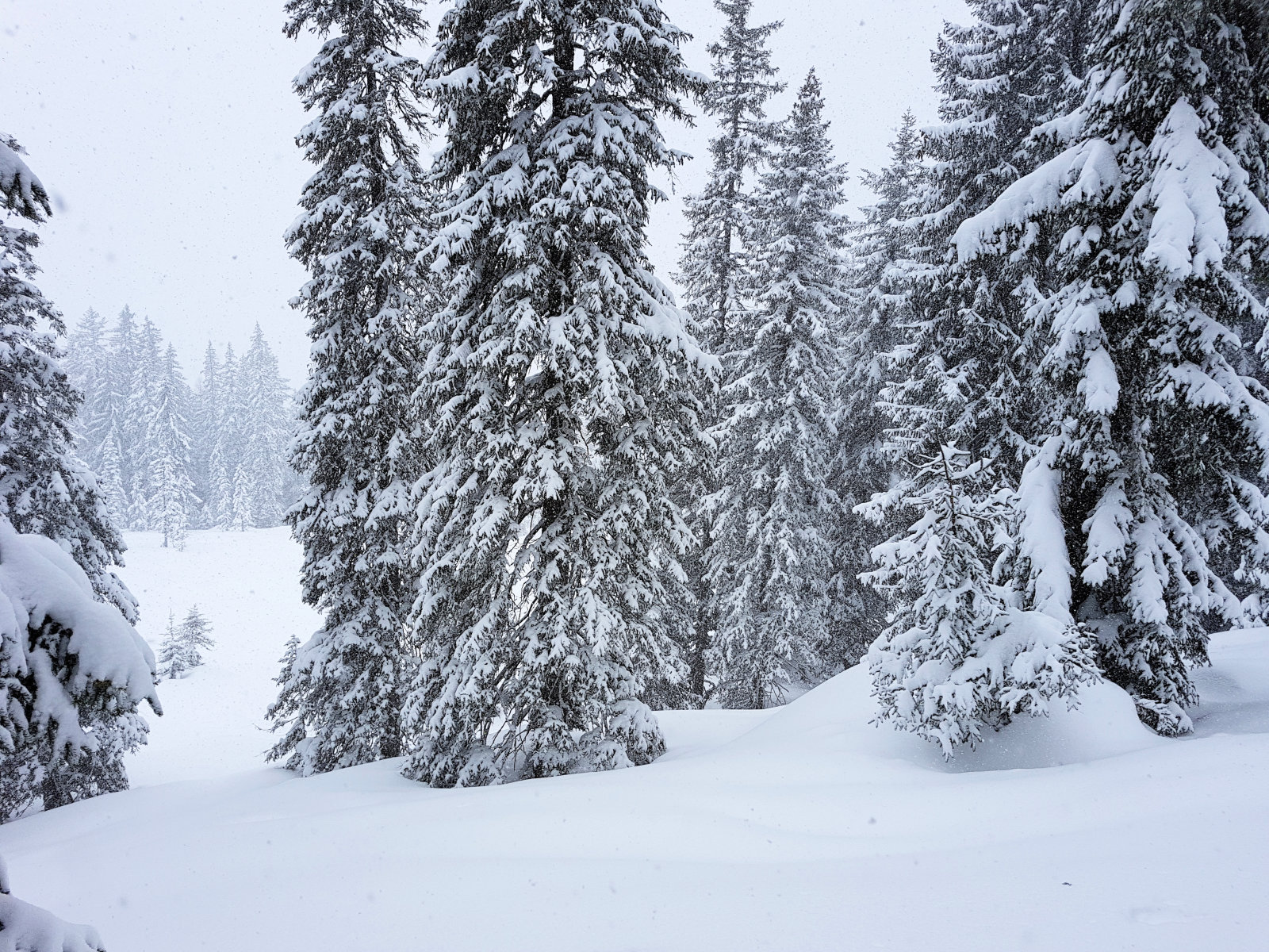 Flachauwinkl, a pályától balra