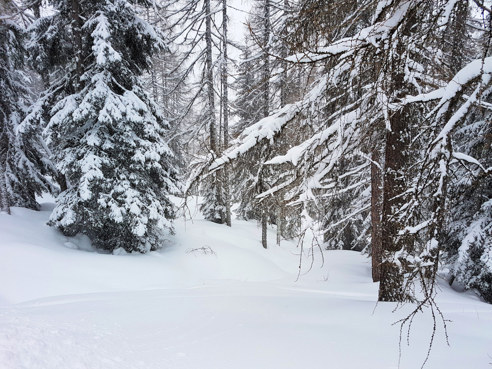 Flachauwinkl, a csúcsról indulva bal oldalon
