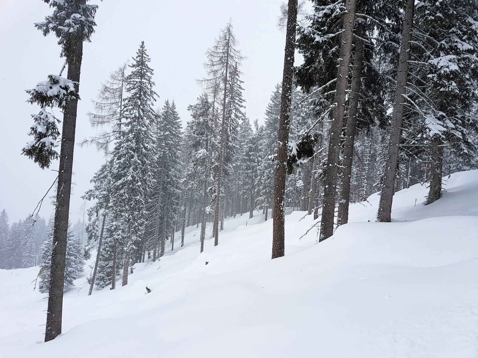 Flachauwinkl, a csúcsról indulva bal oldalon, alsó rész