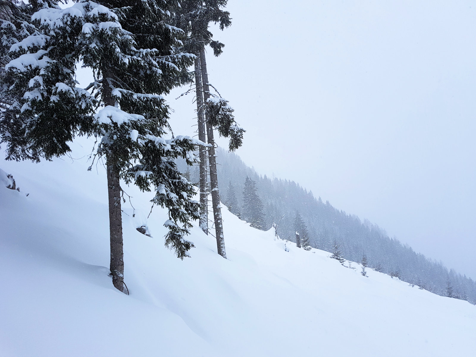 Flachauwinkl, a csúcsról indulva bal oldalon, alsó rész