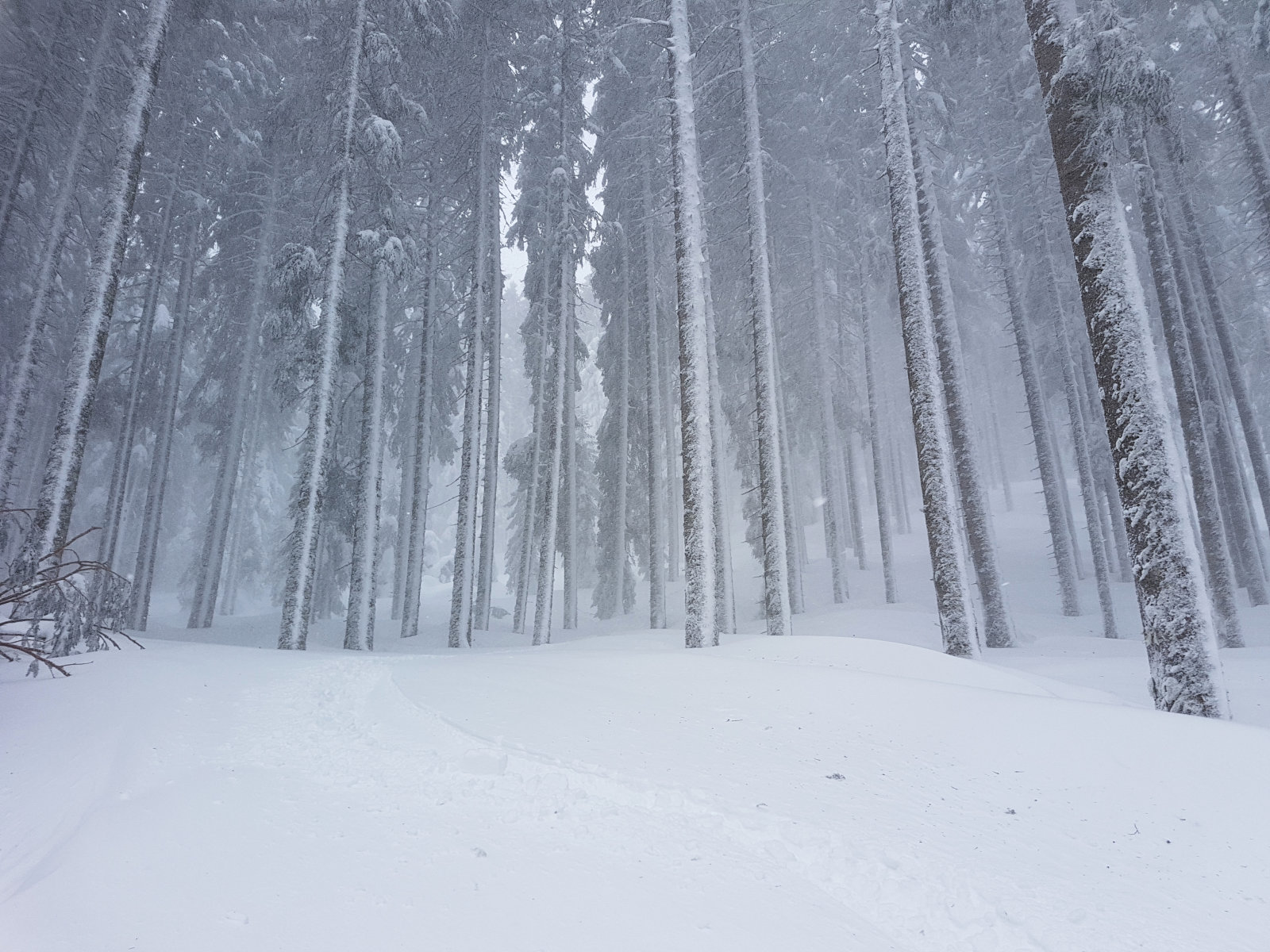 Filzmoos, a felvonó közelében