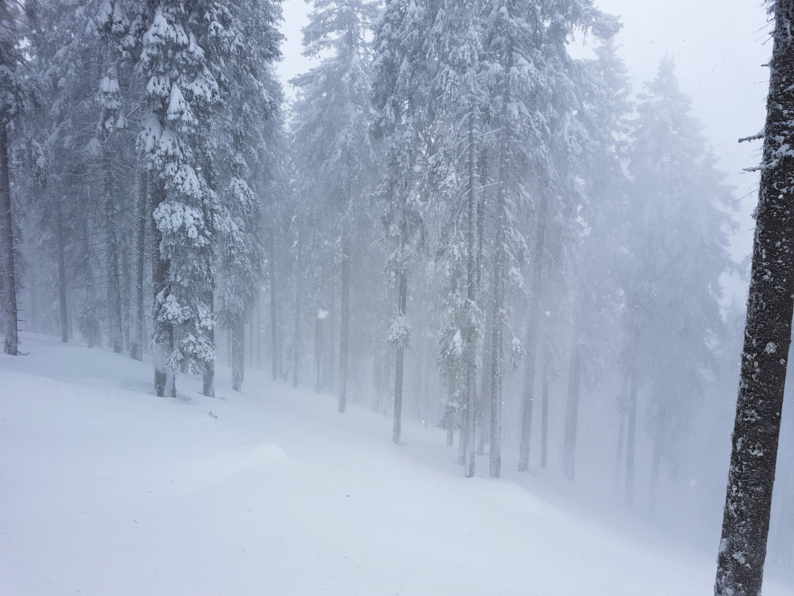 Filzmoos, a felvonó közelében