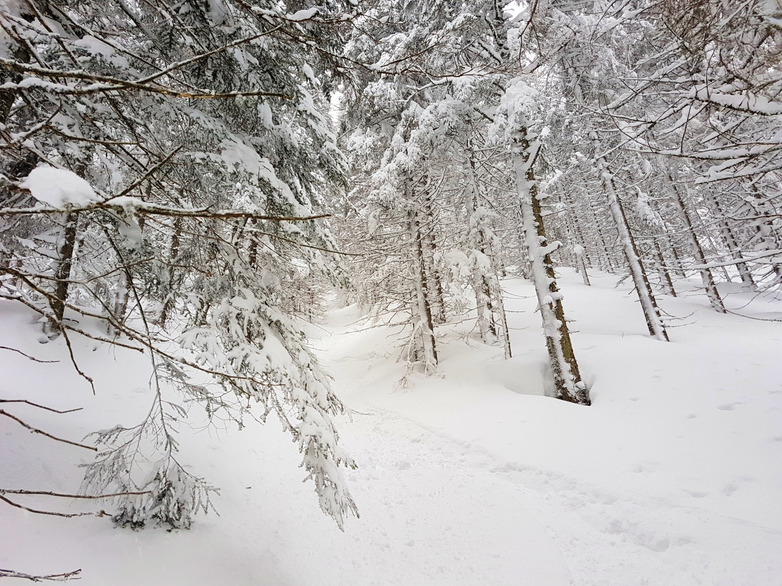 Filzmoos, bal oldalon