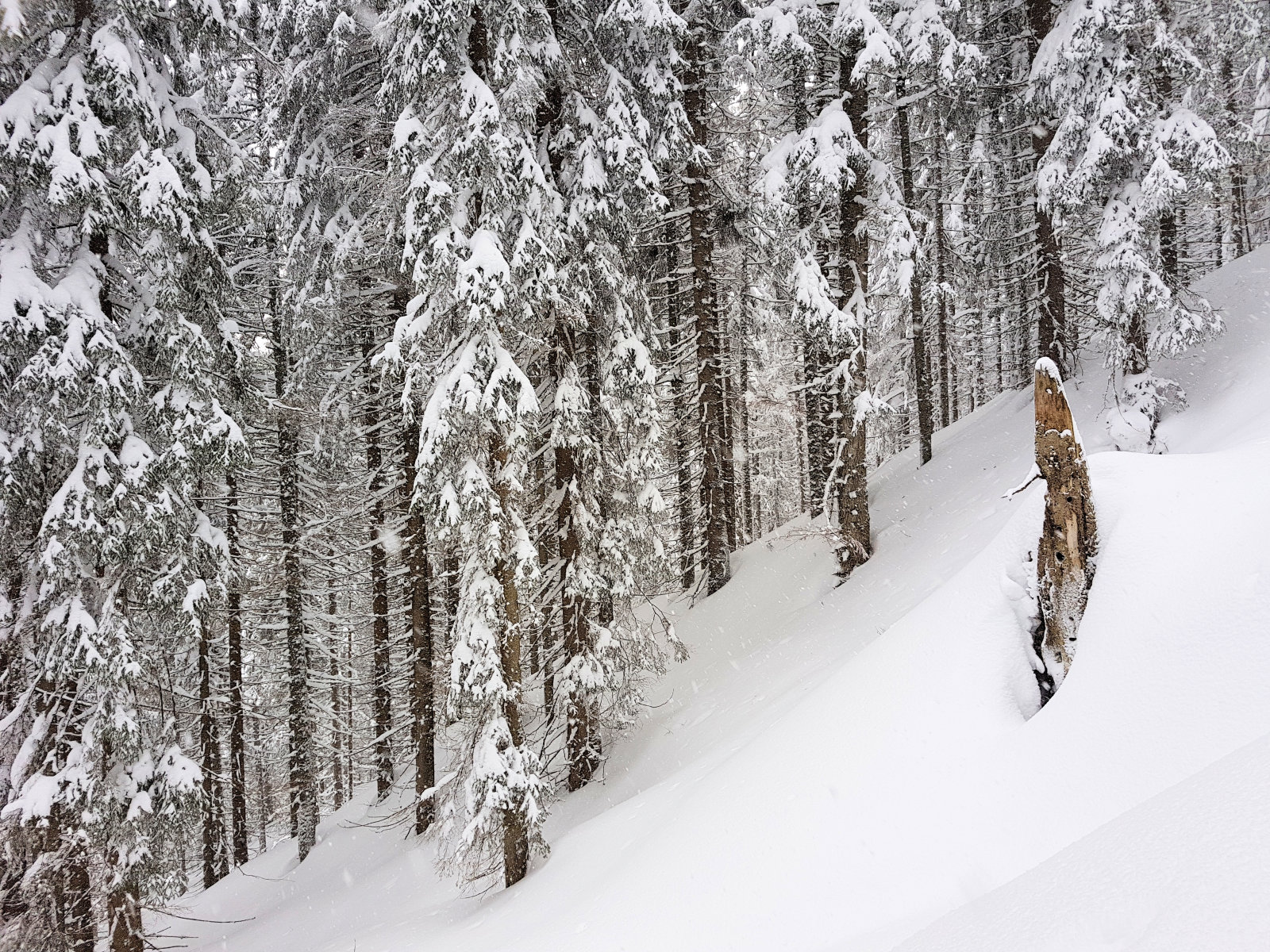 Filzmoos, bal oldalon