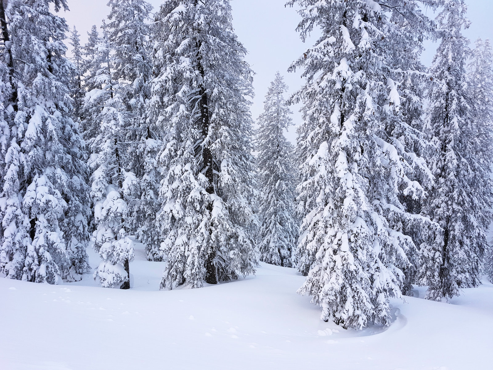 Filzmoos, a 2. pados kör indulási helyén