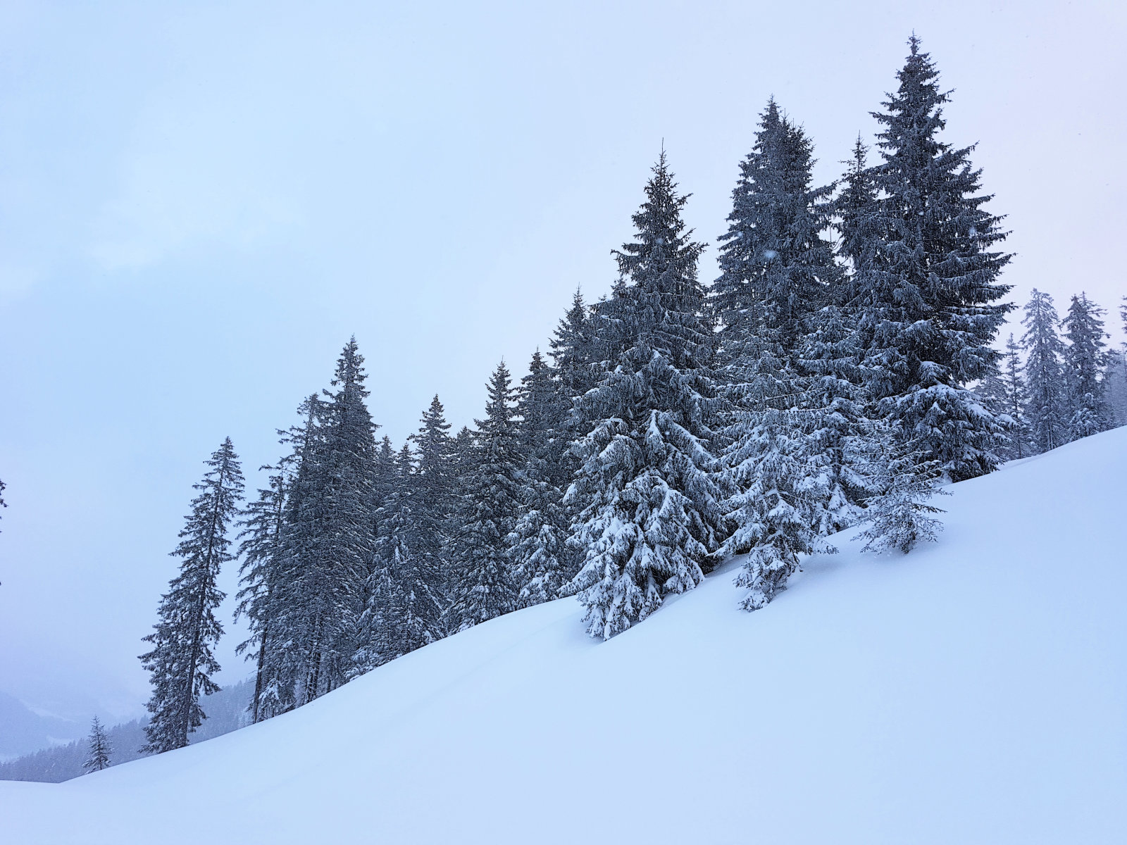 Filzmoos, 2. pados kör, a nagy tisztás bal oldalán