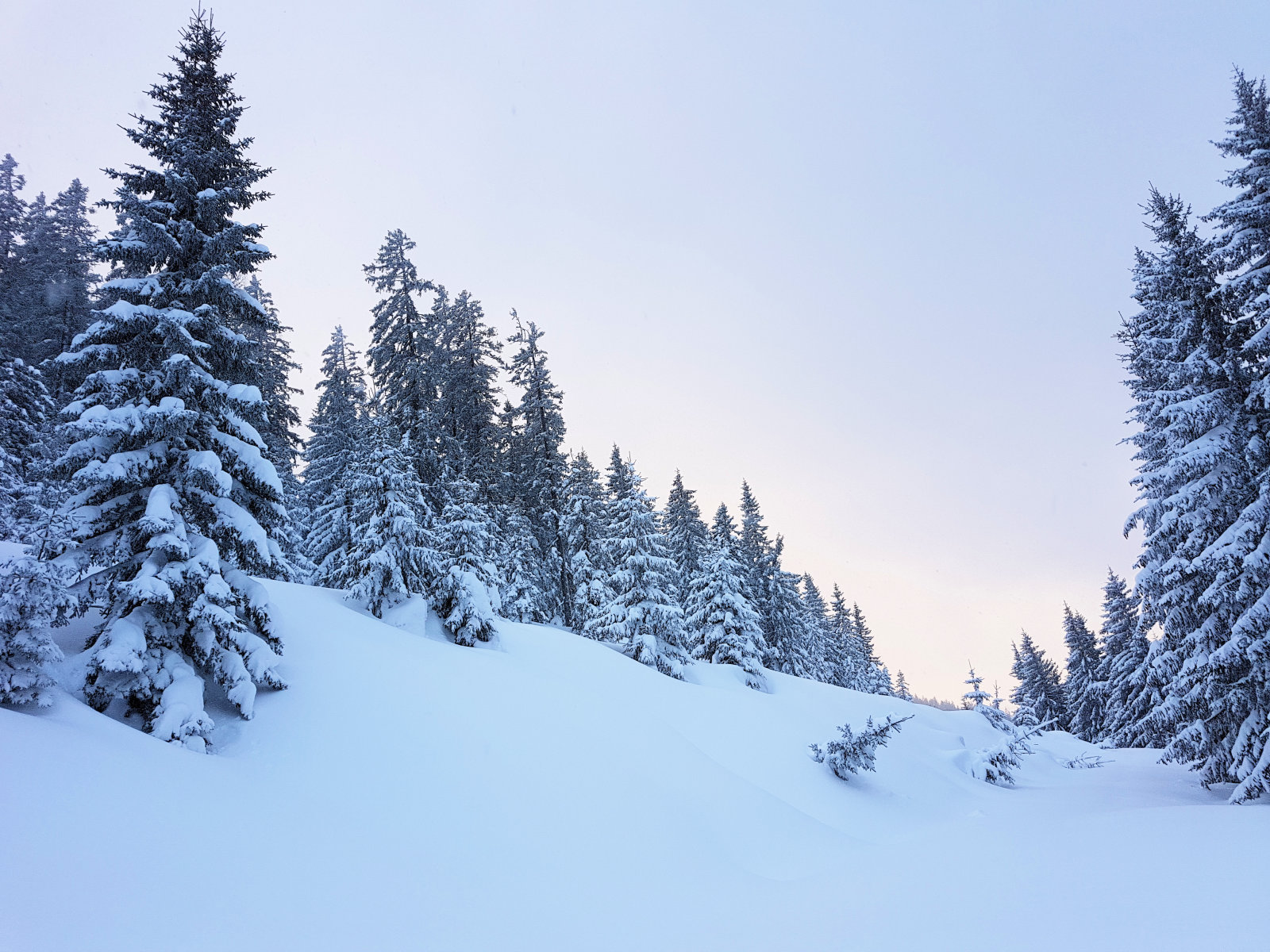 Filzmoos, 2. pados kör, a nagy tisztás bal oldalán