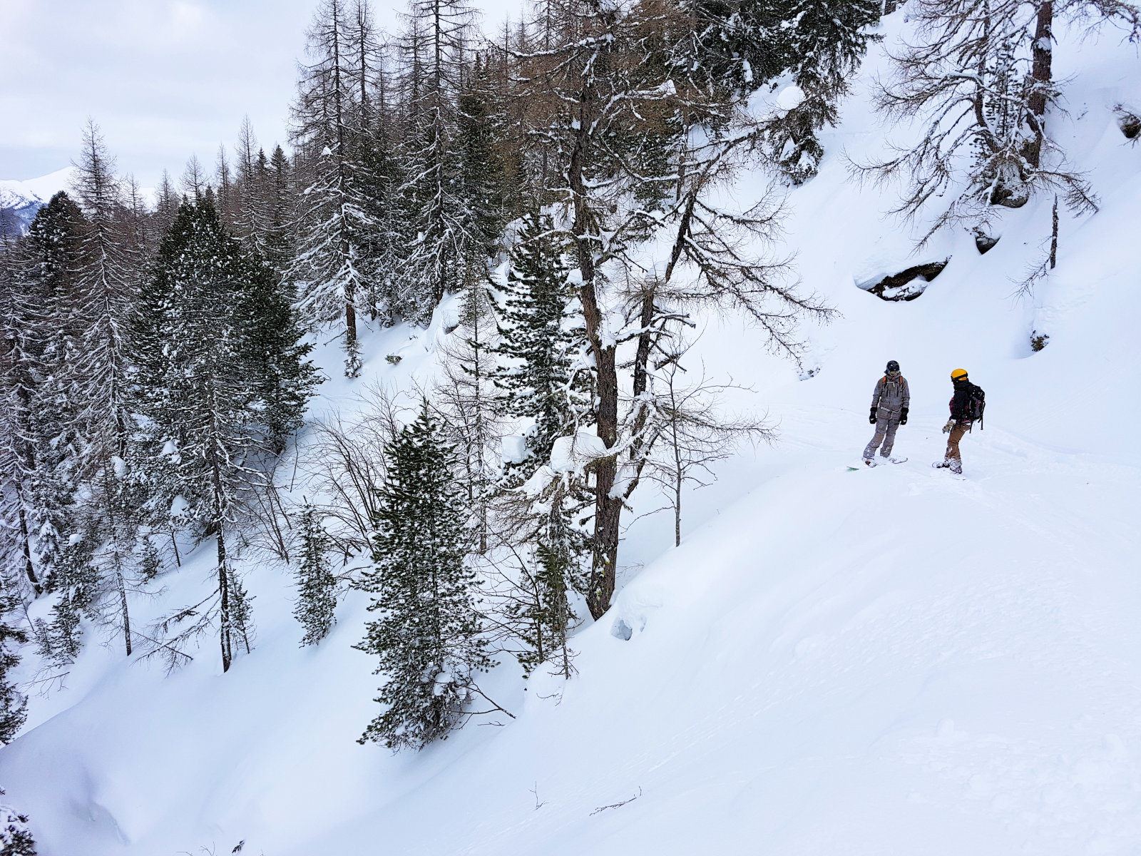 Sportgastein, északi oldal, letérés a síútról az erdőbe